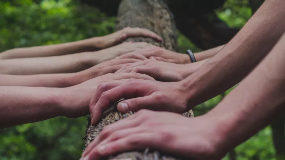 Several hands on a tree trunk