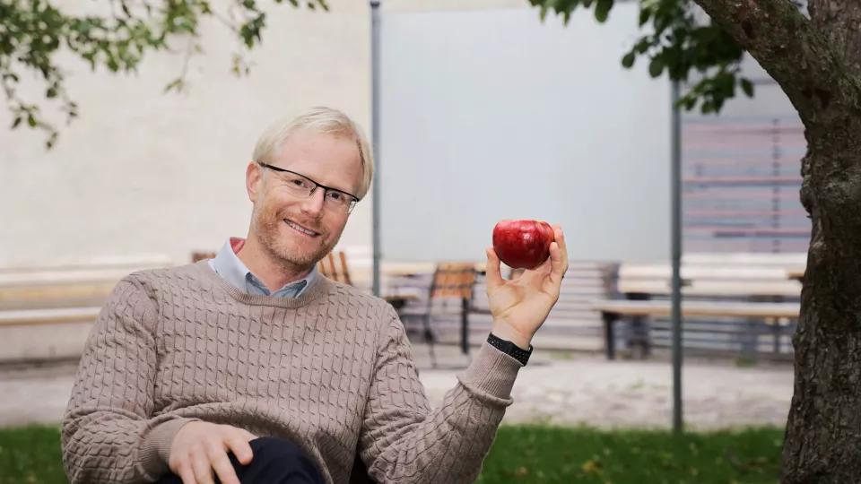 Man holding red apple. Photo.