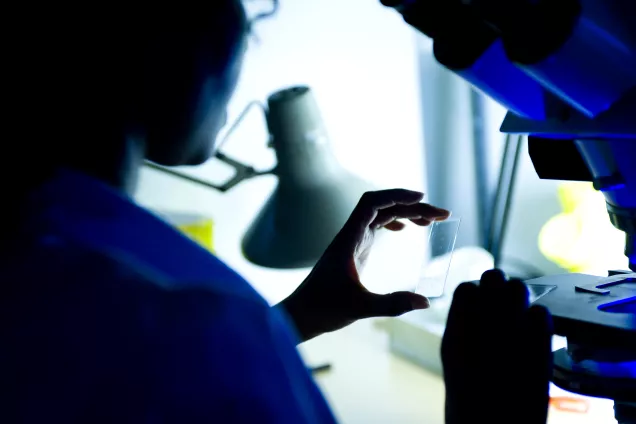 A person standing in the shadow and working in a laboratory