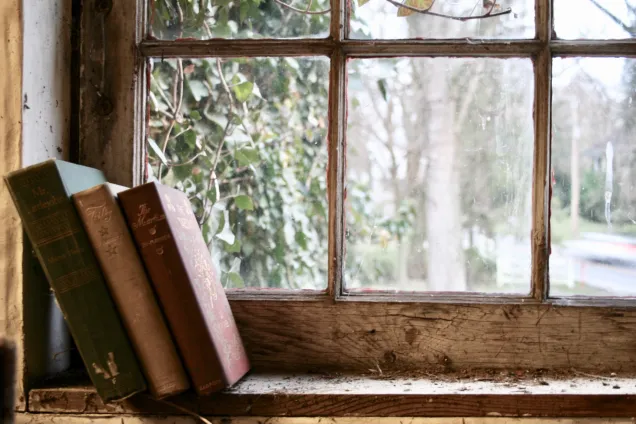 The picture shows a window with three books leaning on the window frame.