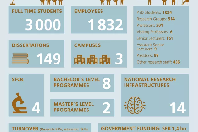 Infografic Faculty of Medicine in figures