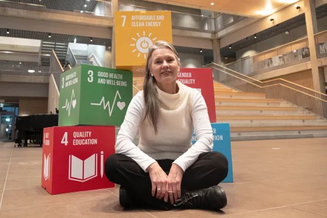 Pernilla Ny and the the global goals. Photo.