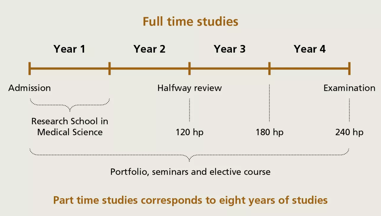 The image shows the time frame of the research programme.