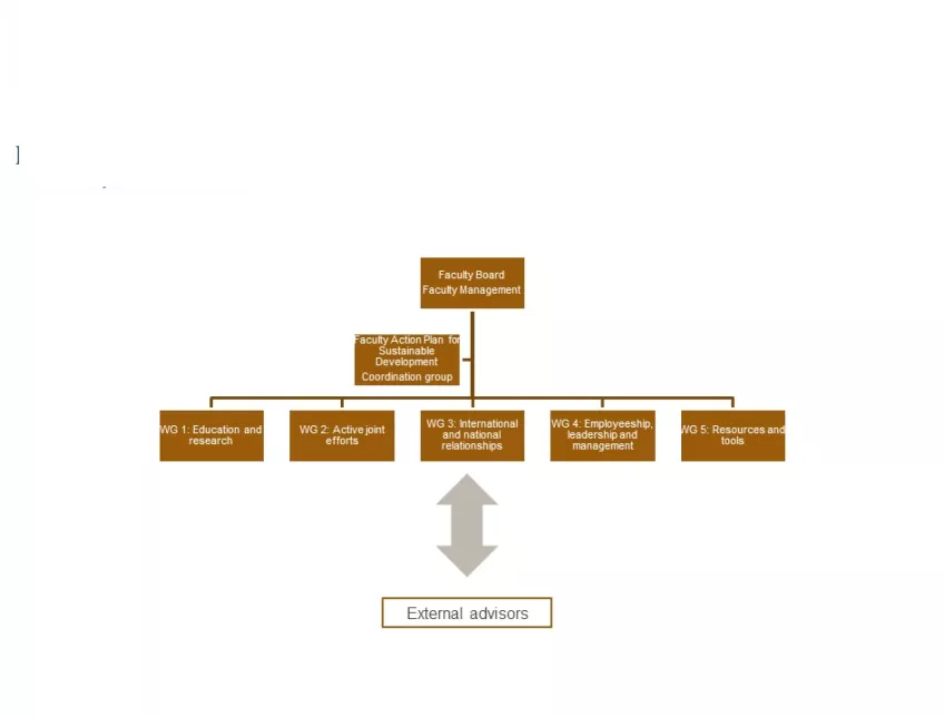 Organization structure of sustainable development work at the Faculty of Medicine