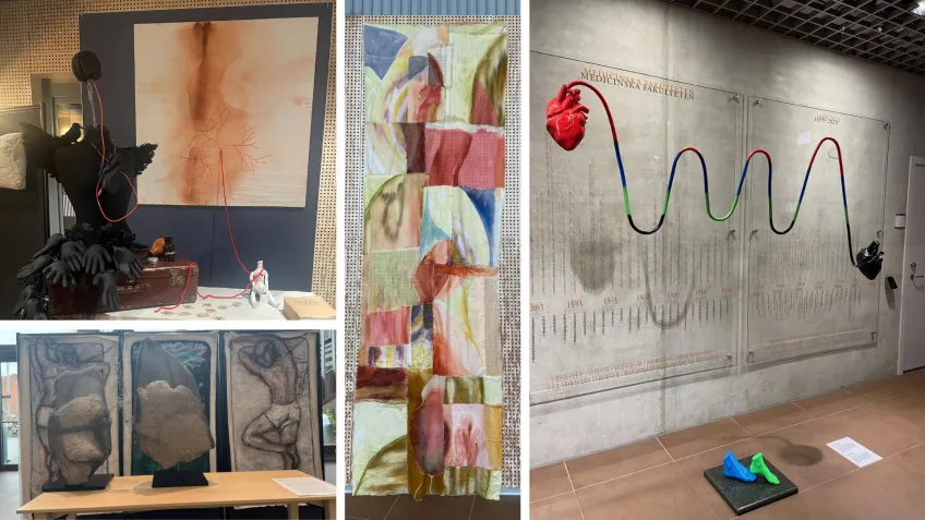 Sculptures from the exhibition at Forum Medicum. Photos.