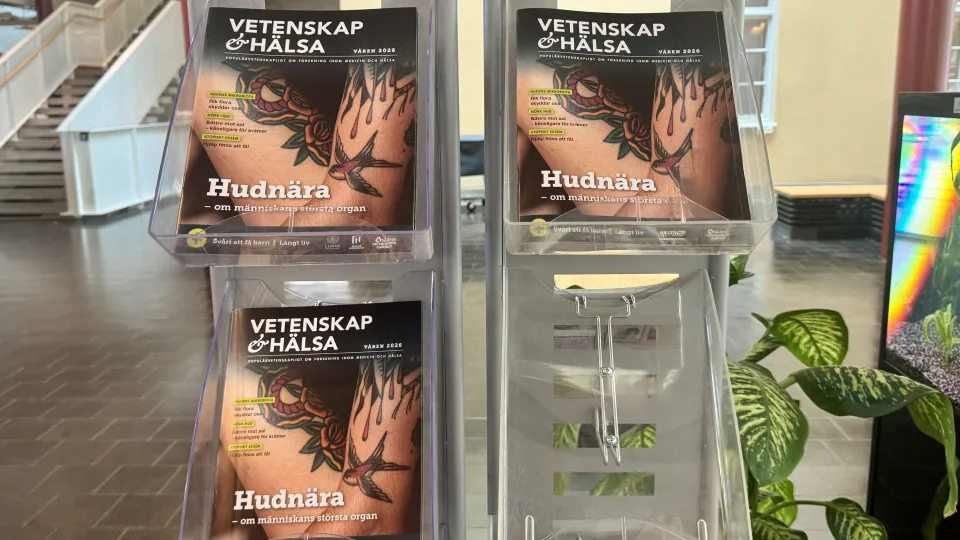 tidskriftshylla. foto.