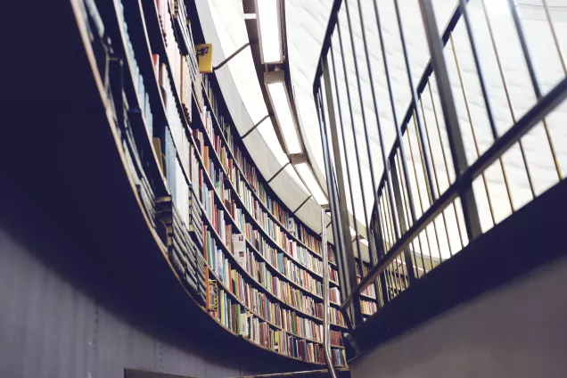 Bilden visar ett bibliotek med böcker längs den vänstra väggen. Till höger finns det fönster som sträcker sig från golv till tak
