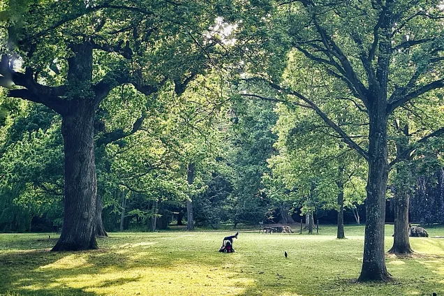 Människa på gräset i park. Foto.