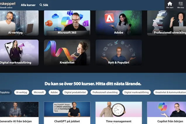 Moderskeppet. Skärmavbild. Foto.