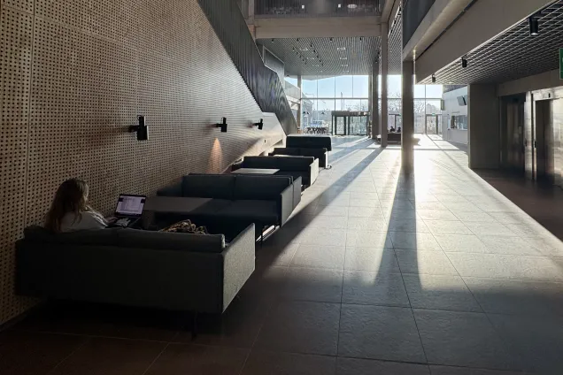 solskuggor i forum medicum. foto.