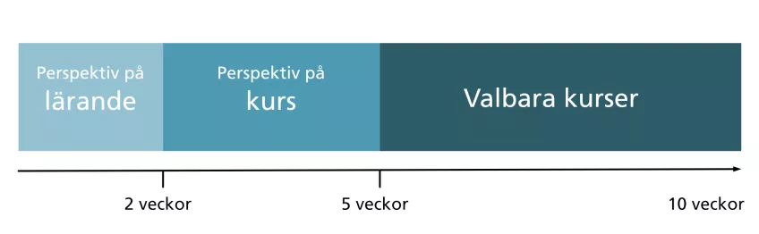 Översikt över 10 veckor högskolepedagogisk utbildning