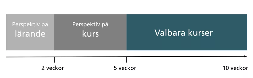 översikt över 10 veckors högskolepedagogisk utbildning med fokus på valbara kurser