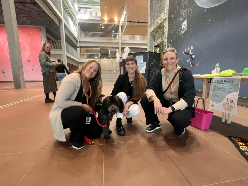 Arrangörerna Carina Tjörnstrand, Ida Englund och Annika Lexén. Framför trion ligger vårdhunden Millie. Foto: Erik Skogh
