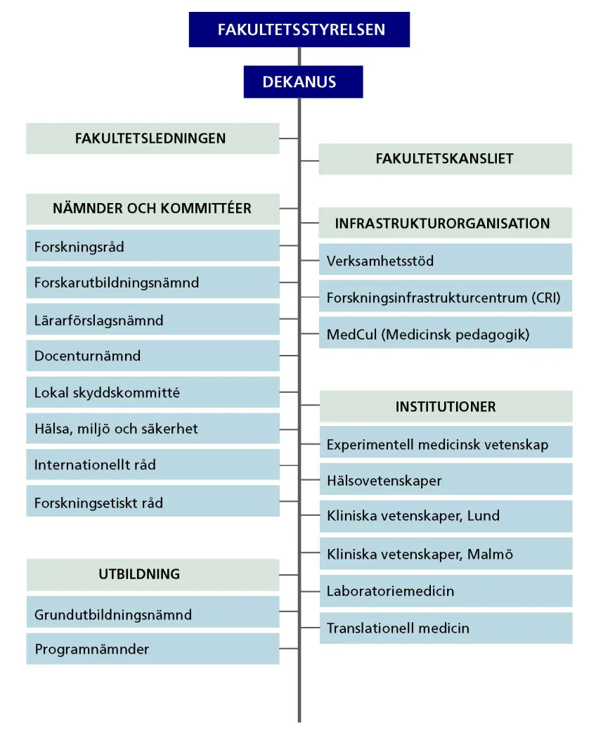 Organisationschema Medicinska fakulteten.